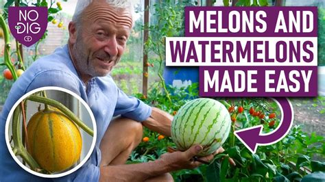 mealonstube|Melons (788,044)